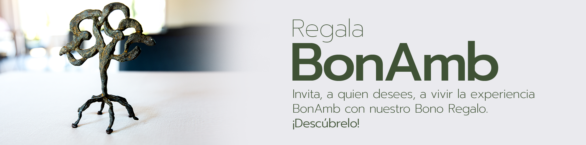 Bono regalo BonAmb Bono regalo BonAmb