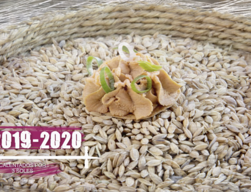 2019-2020: Calentados por tres Soles